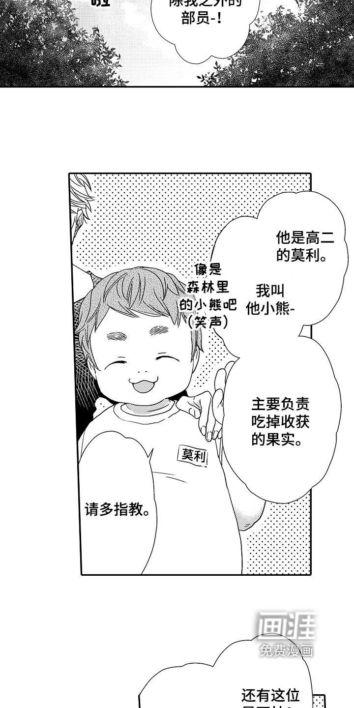 第5章：介绍