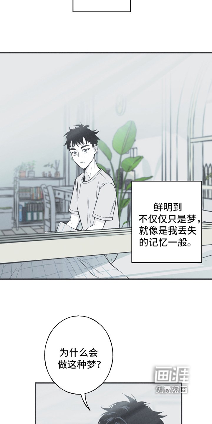 第10章：理由
