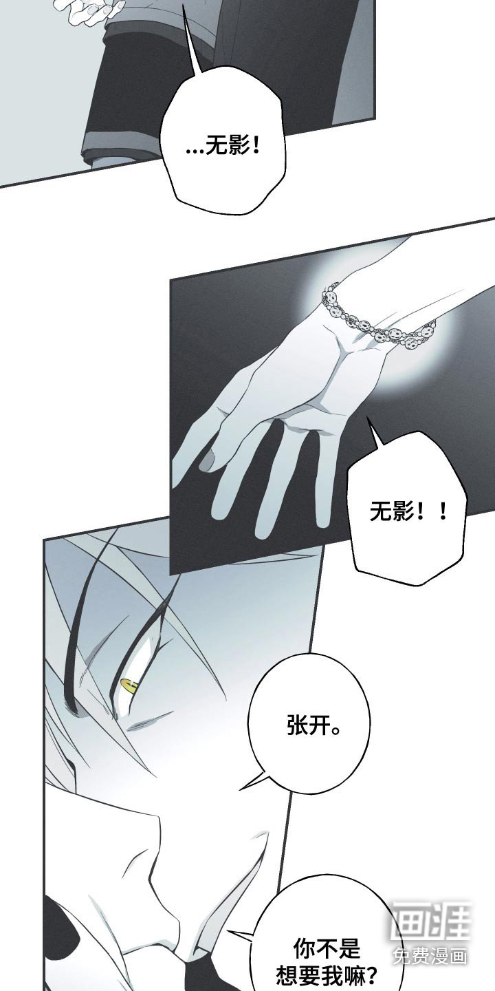 第100章：【第三季】终于出现了
