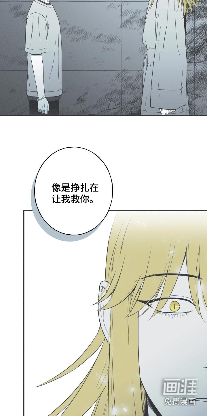 第101章：【第三季】挣扎着