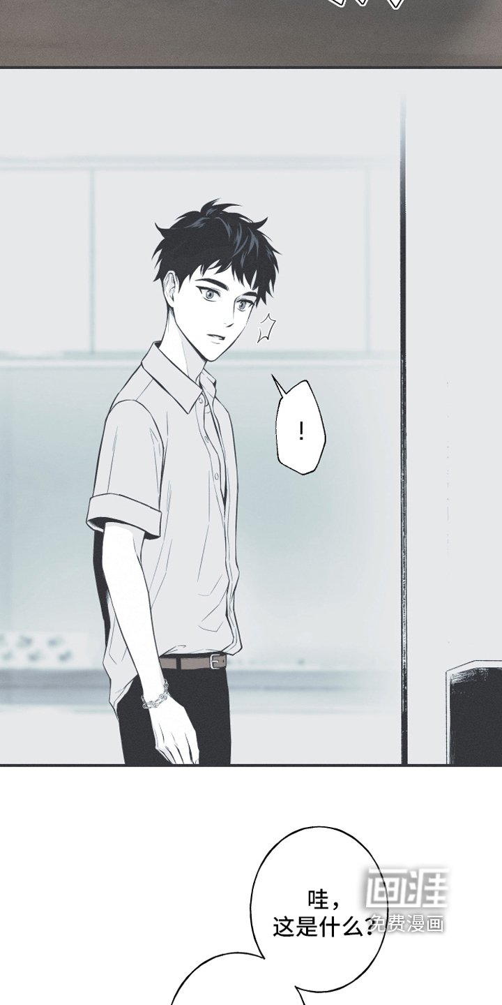 第11章：回忆