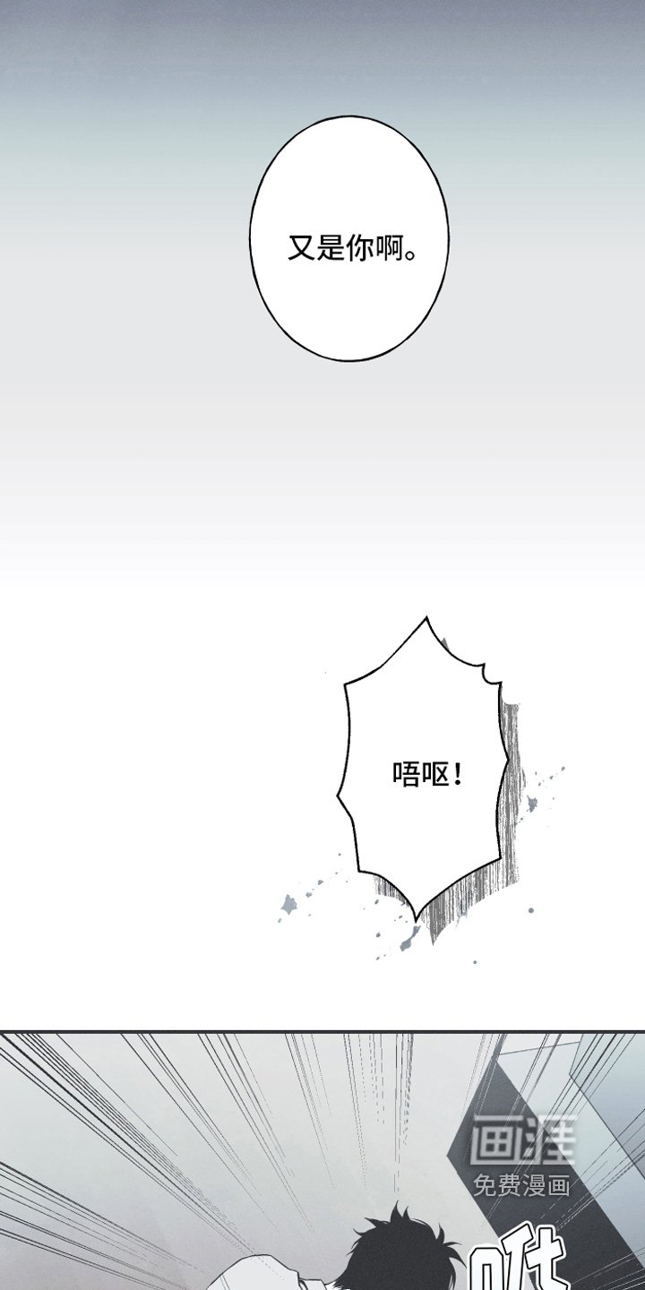 第12章：躁动