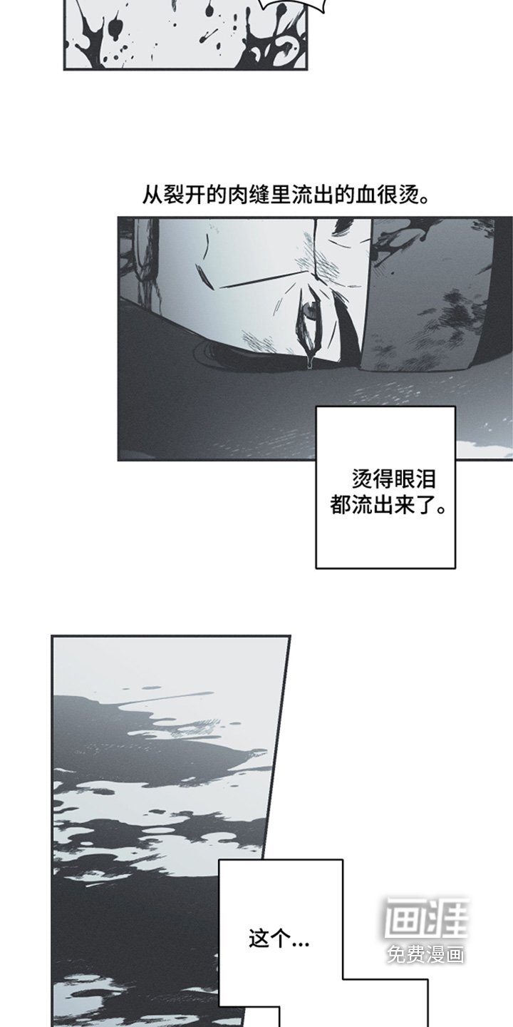 第123章：【第三季】出战