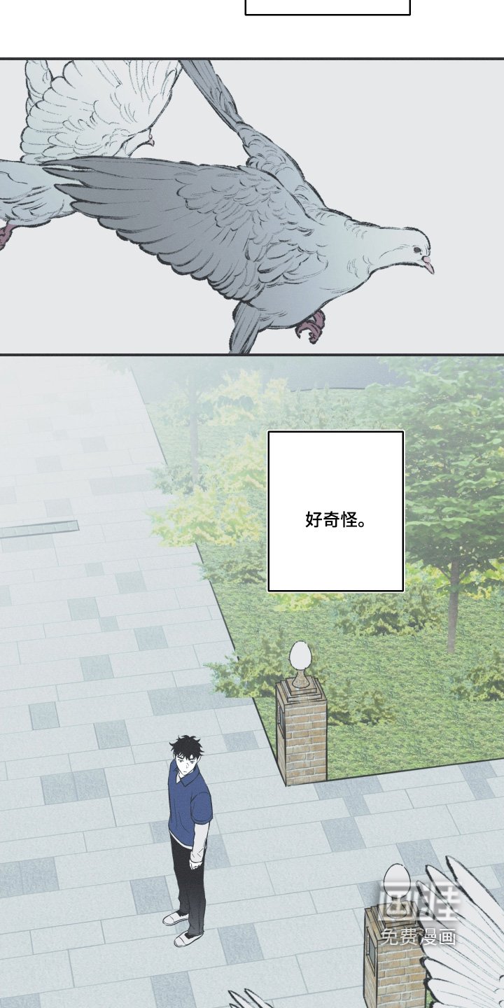 第128章：【第三季】你没事吧