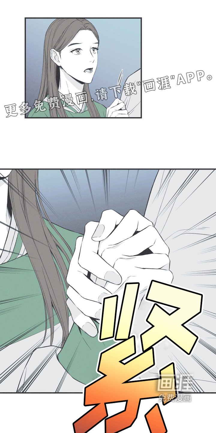 第13章：狐狸