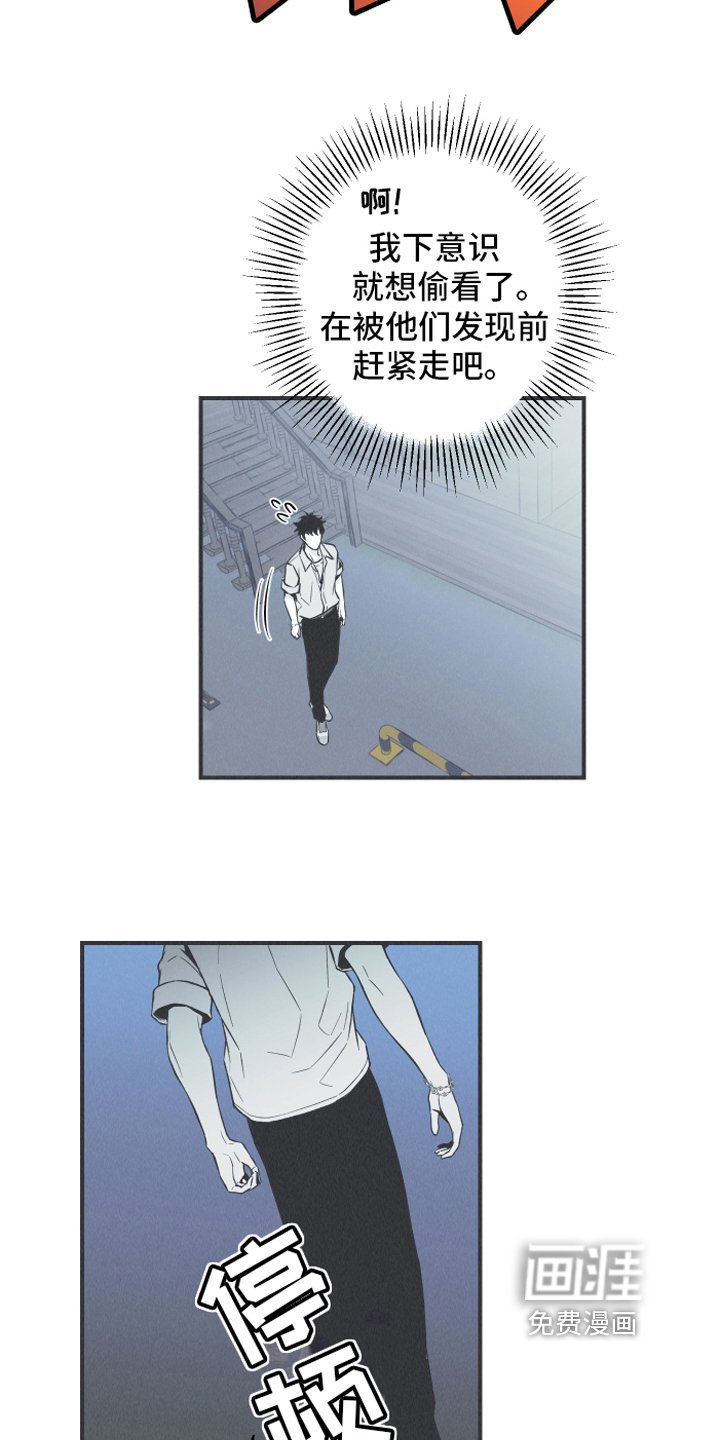 第13章：狐狸