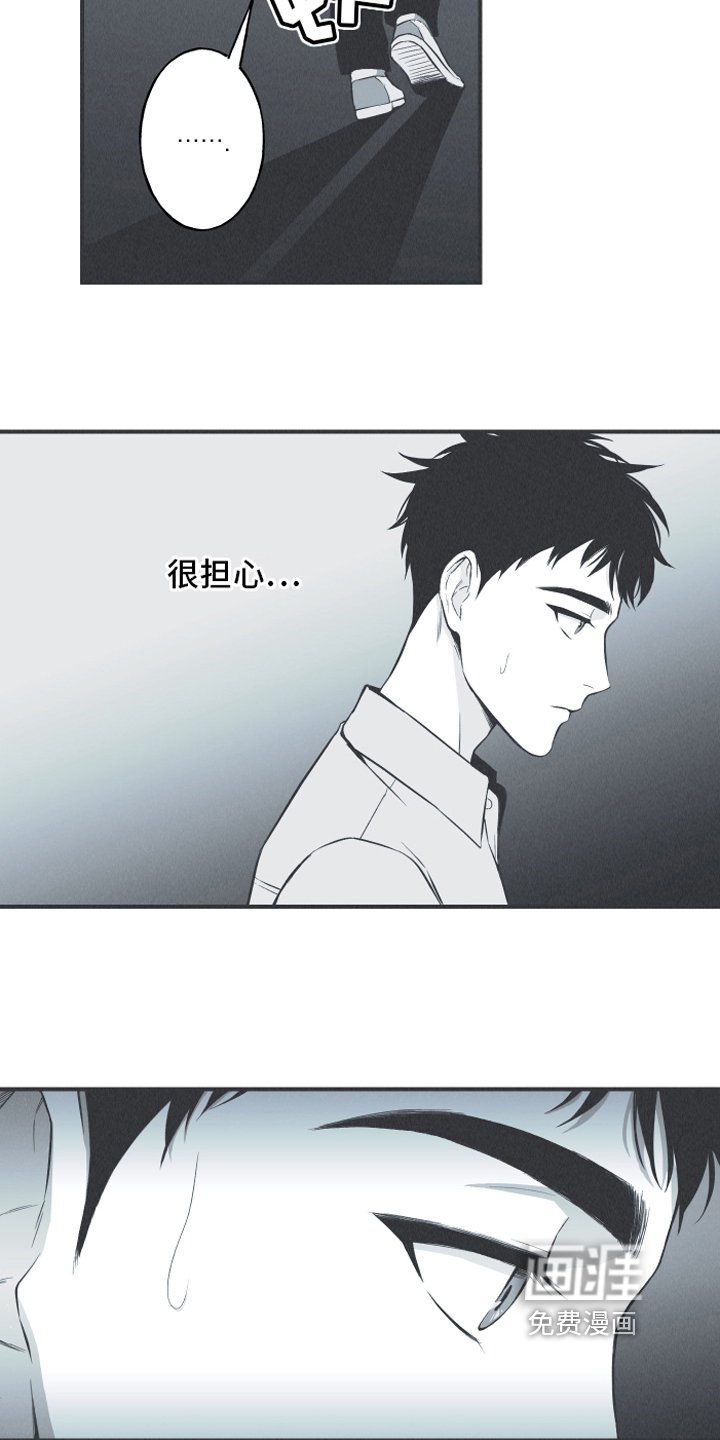 第13章：狐狸