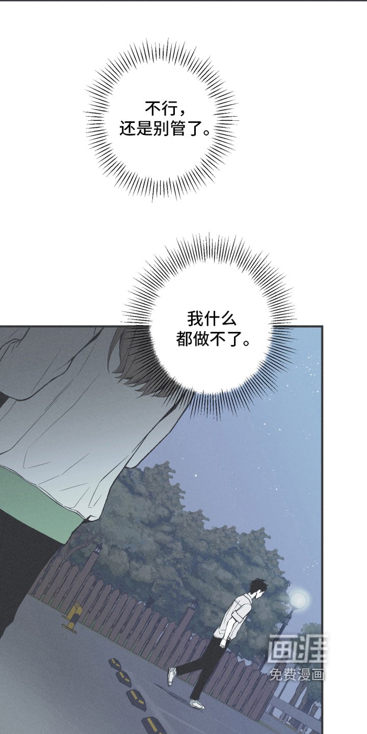 第13章：狐狸