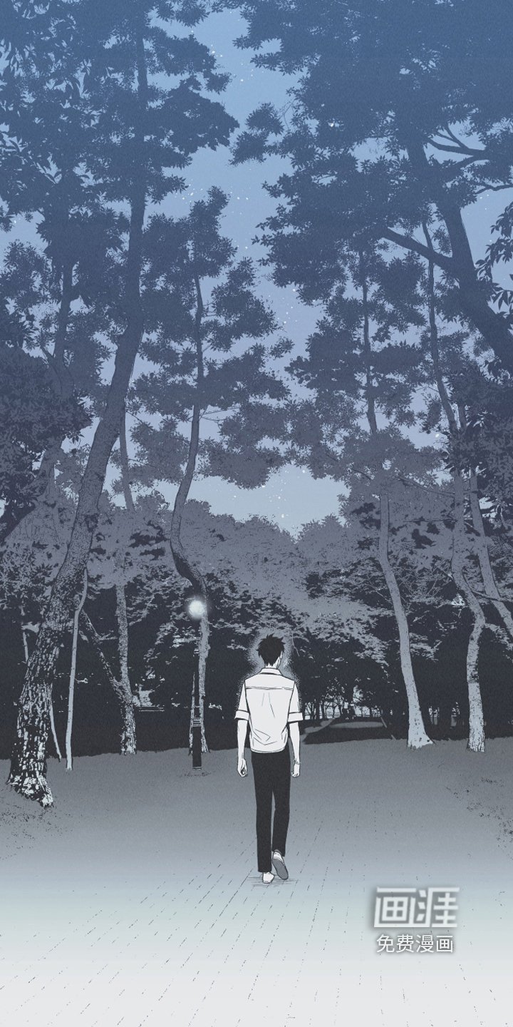 第13章：狐狸