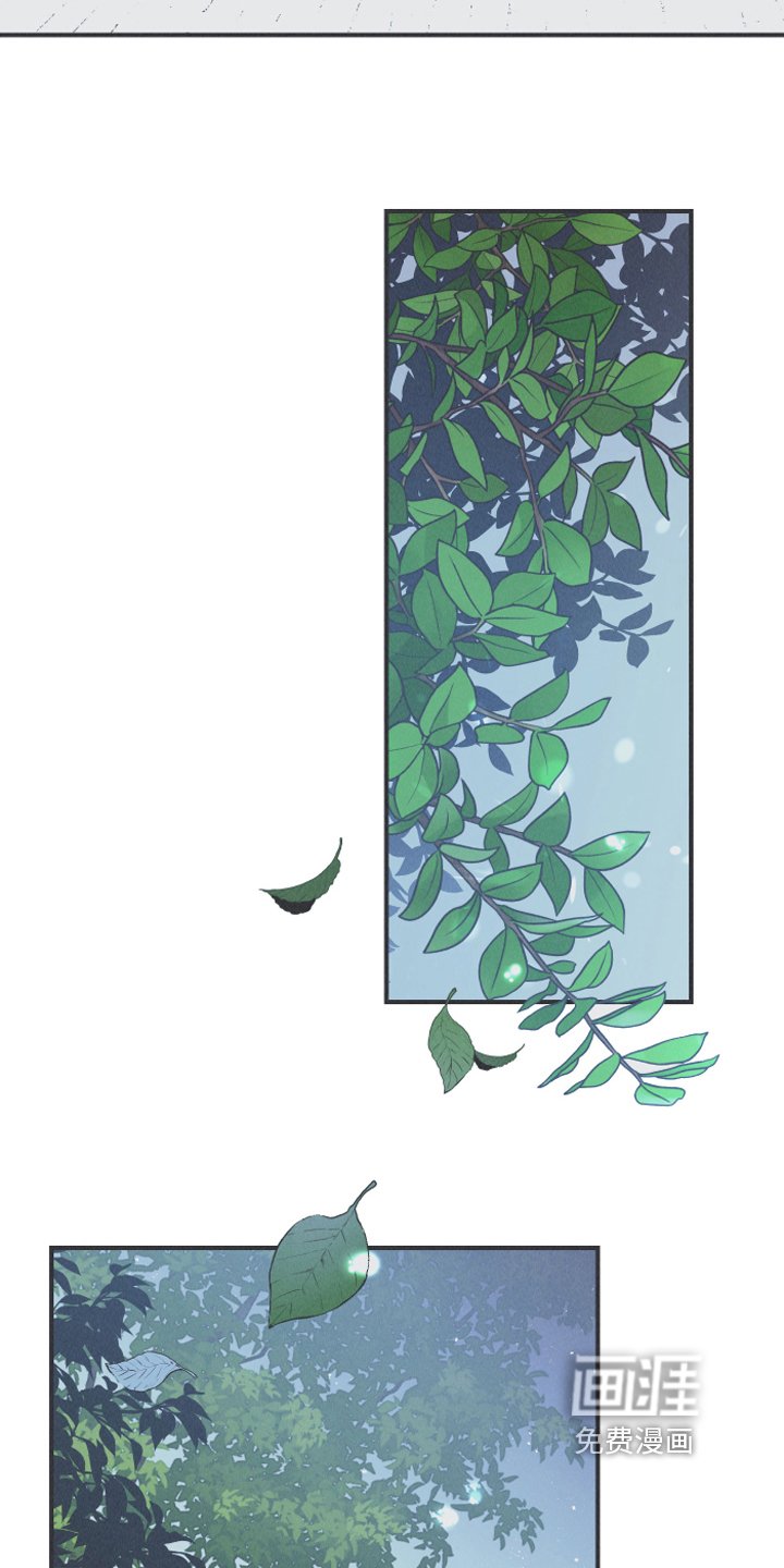 第13章：狐狸