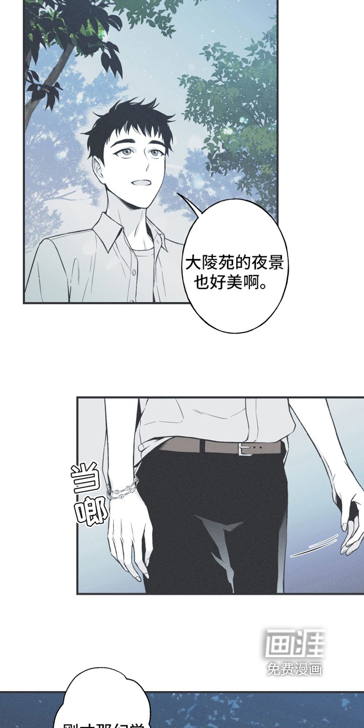 第13章：狐狸