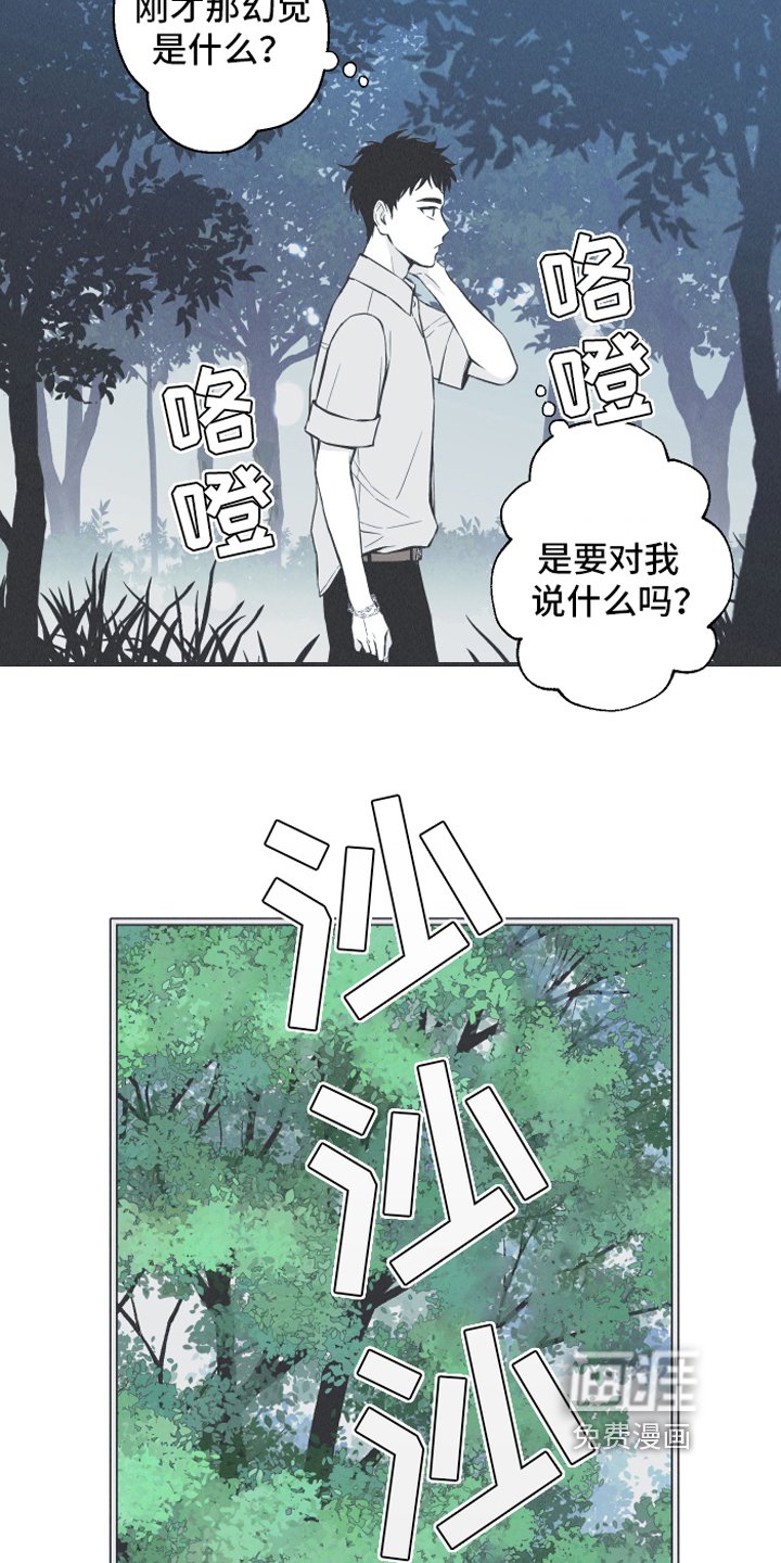 第13章：狐狸