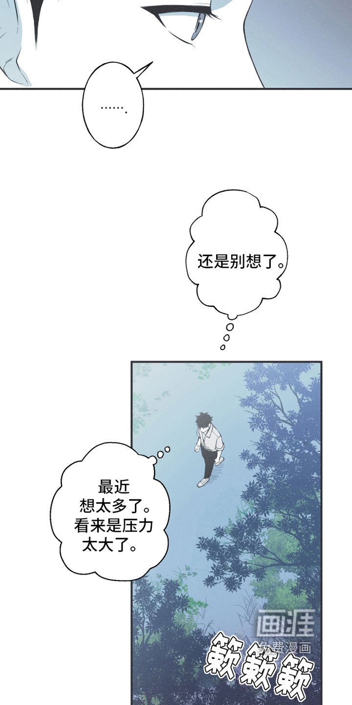 第13章：狐狸