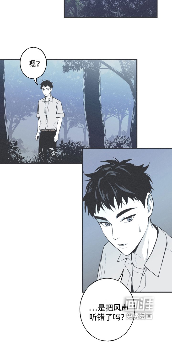 第13章：狐狸