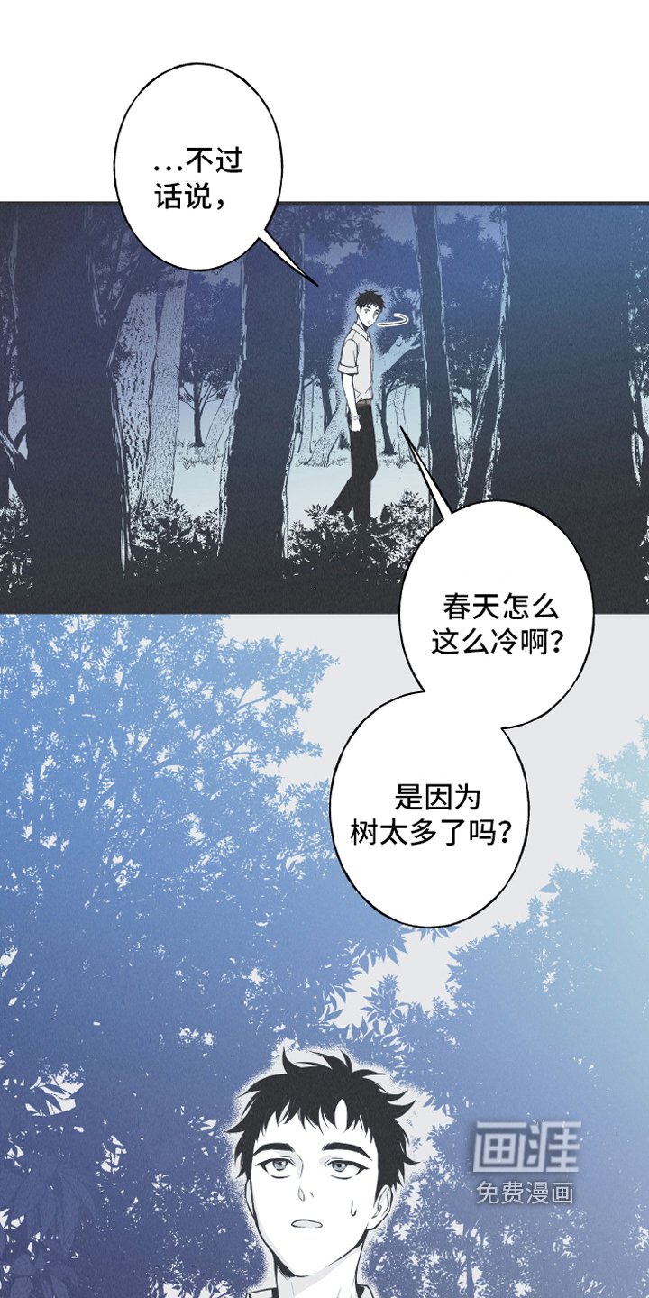 第13章：狐狸