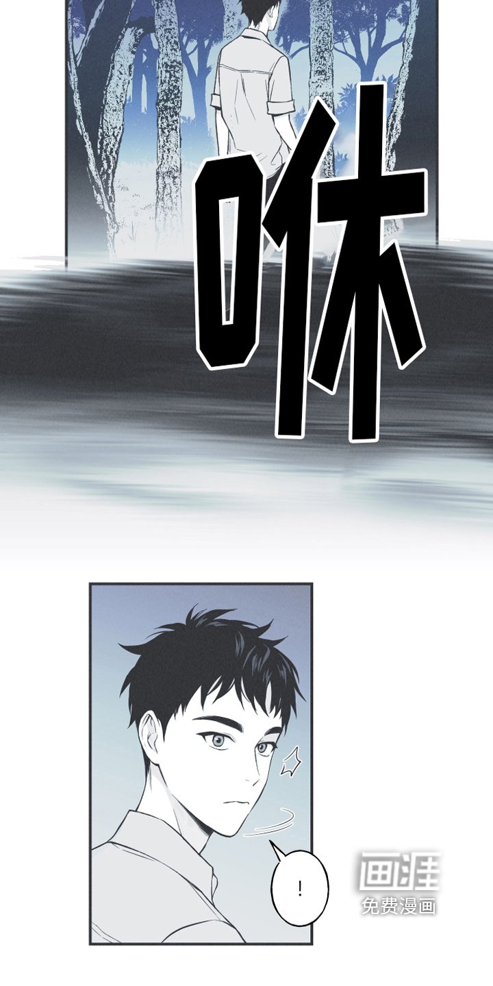 第13章：狐狸