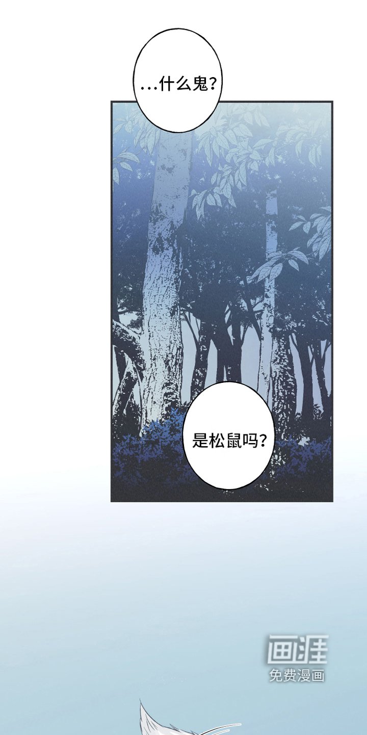 第13章：狐狸