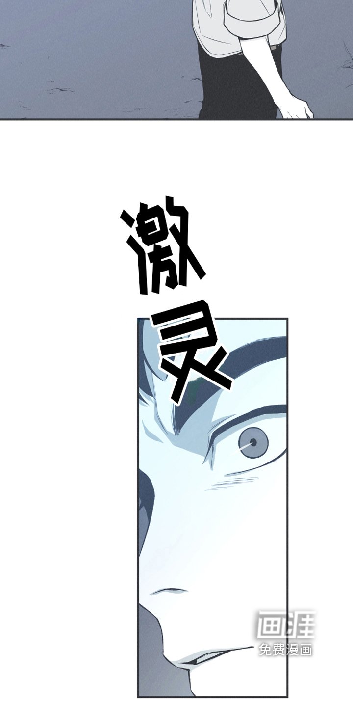 第13章：狐狸