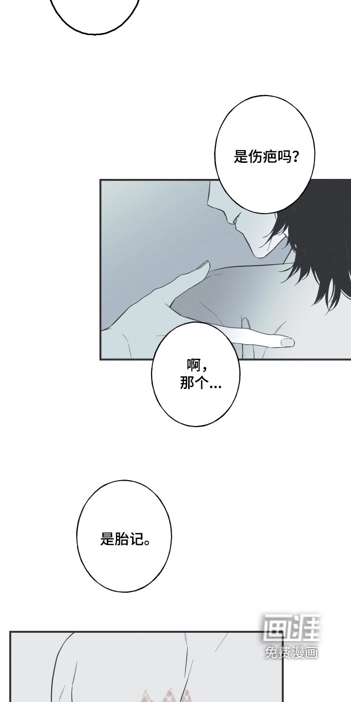 第130章：【第三季】胎记
