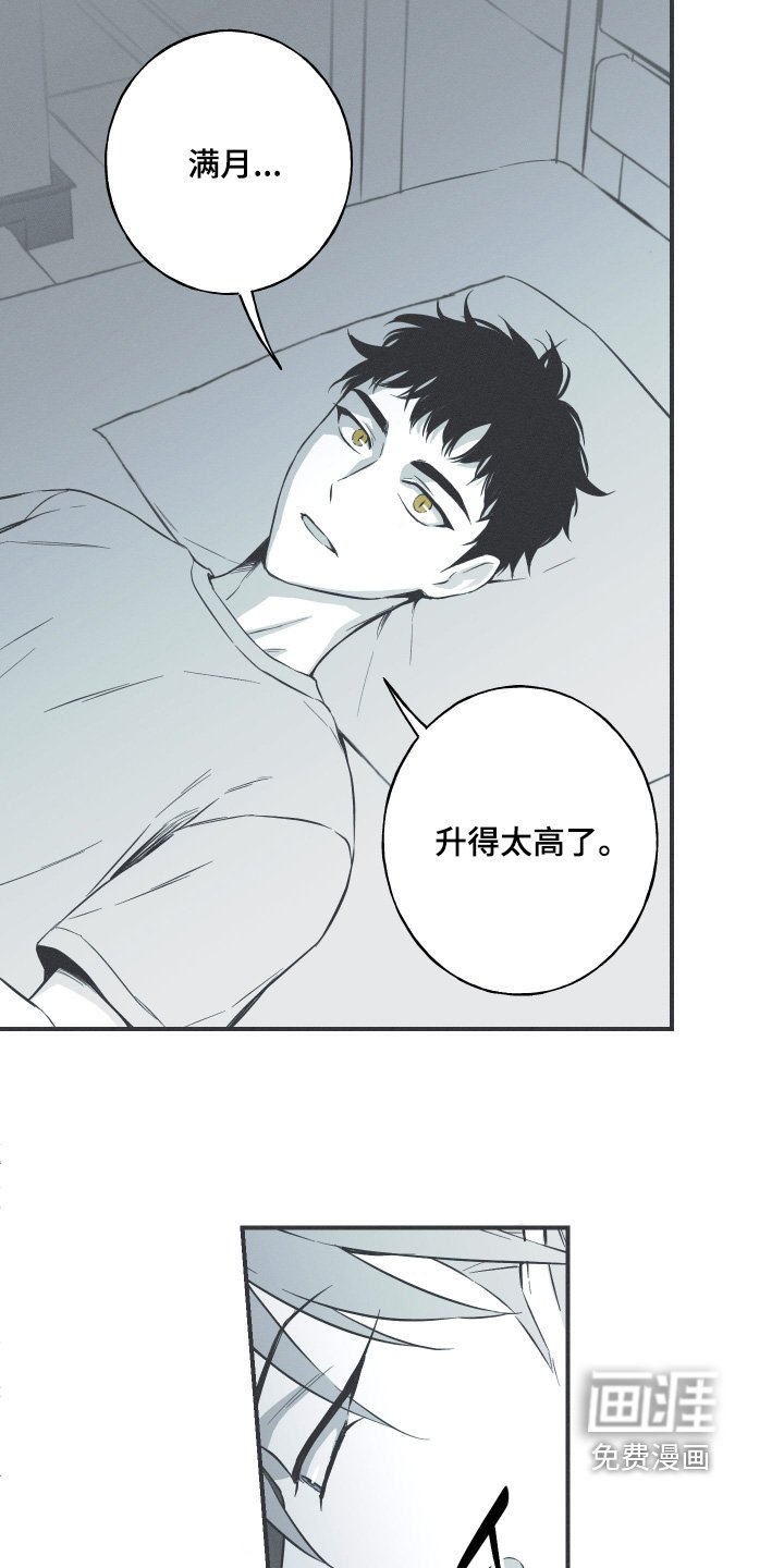 第132章：【第四季】想我了嘛