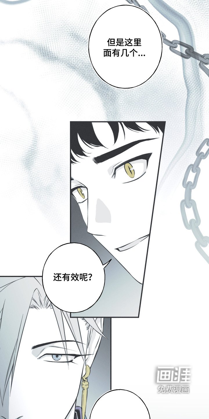 第133章：【第四季】幻觉