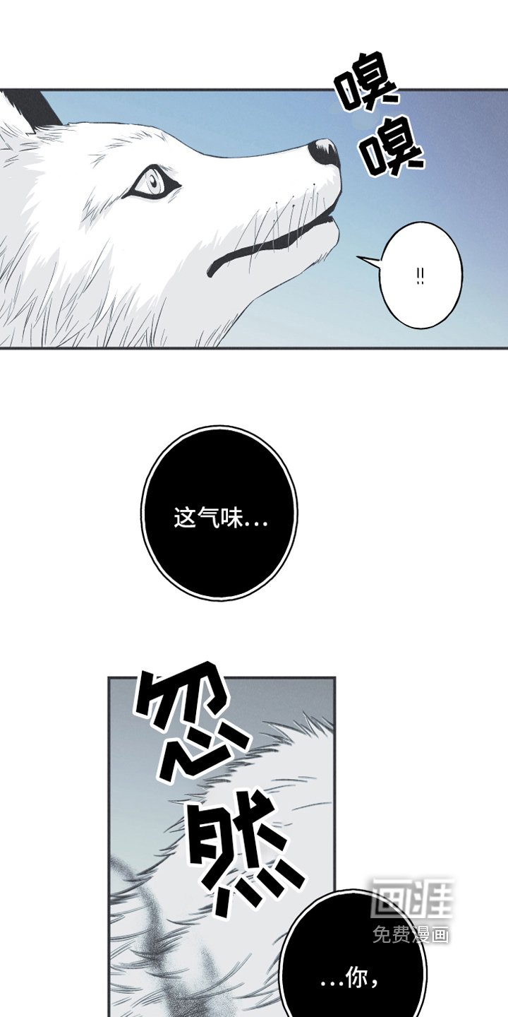 第14章：逃跑