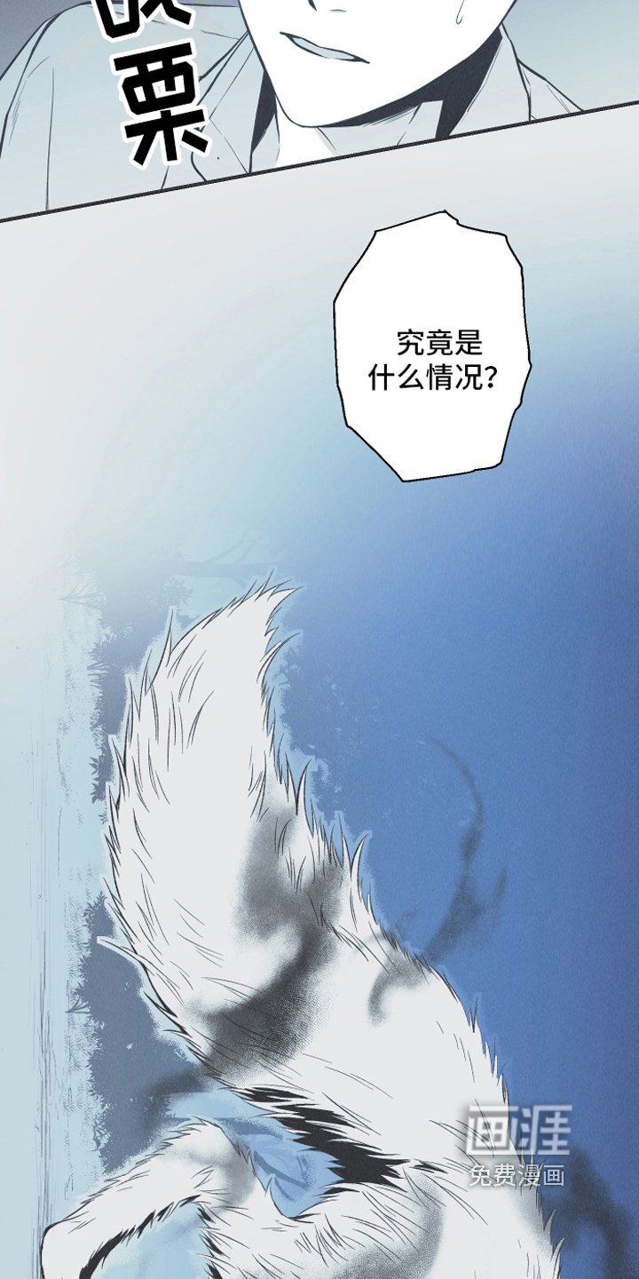 第14章：逃跑