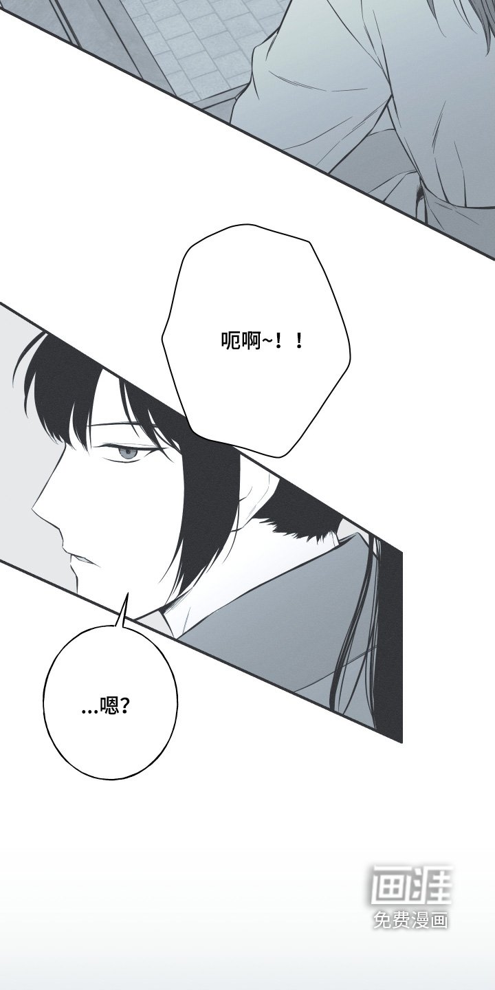 第146章：【第四季】是何人