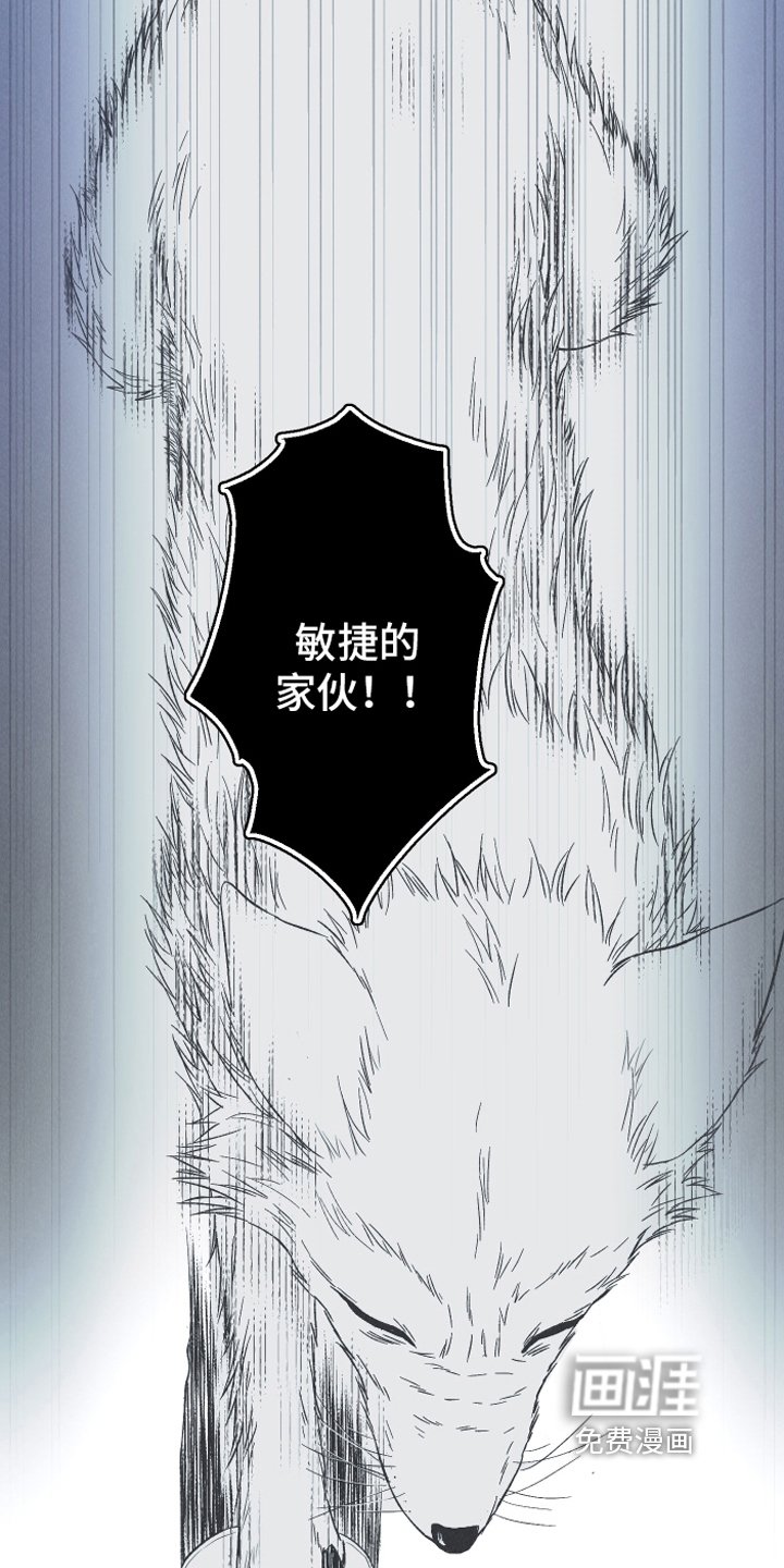 第15章：召唤