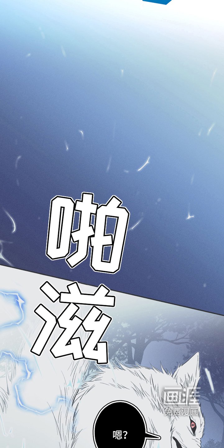 第15章：召唤