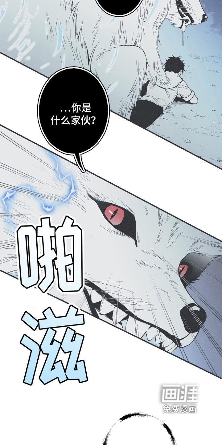 第15章：召唤