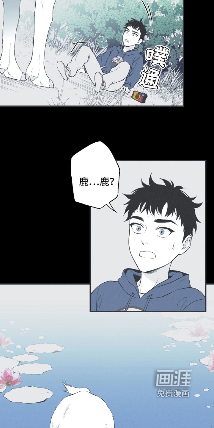 第18章：鹿妖