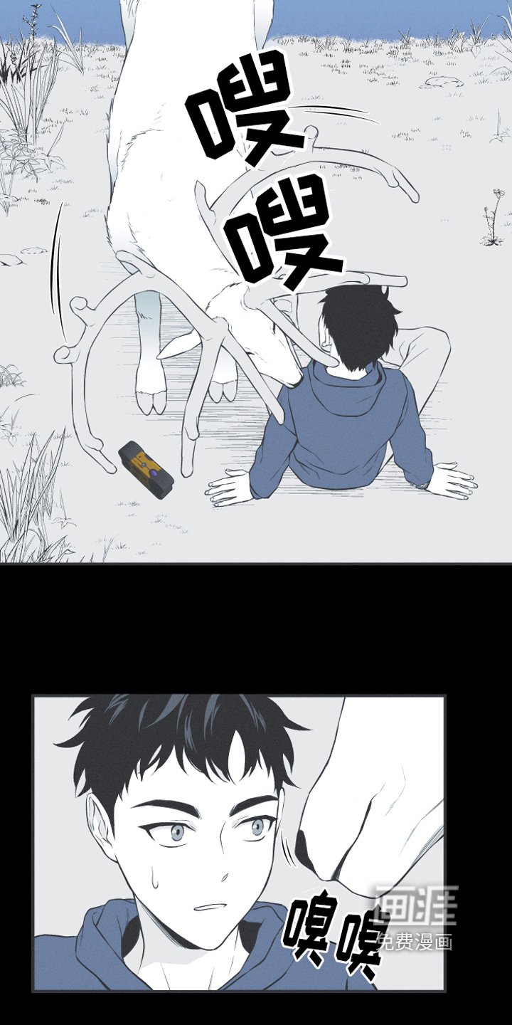 第18章：鹿妖