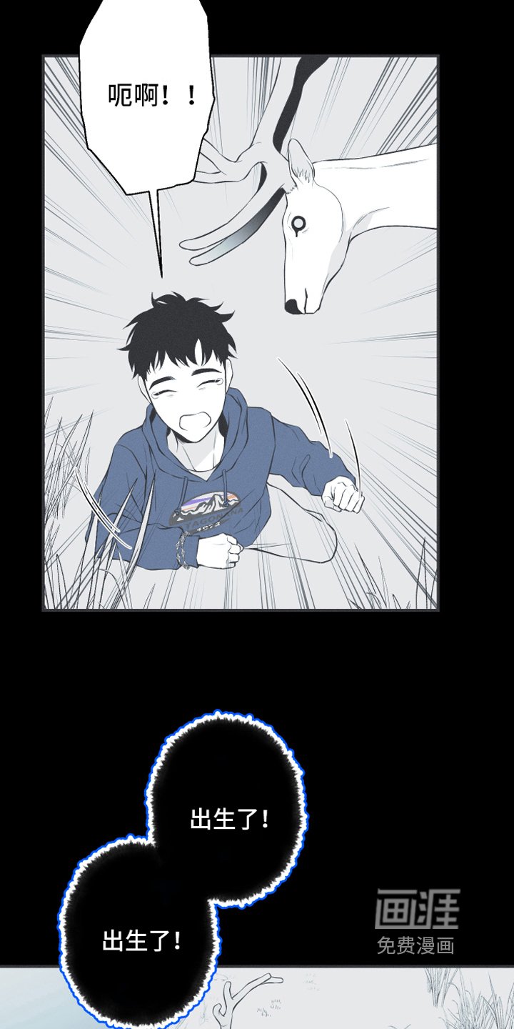第18章：鹿妖