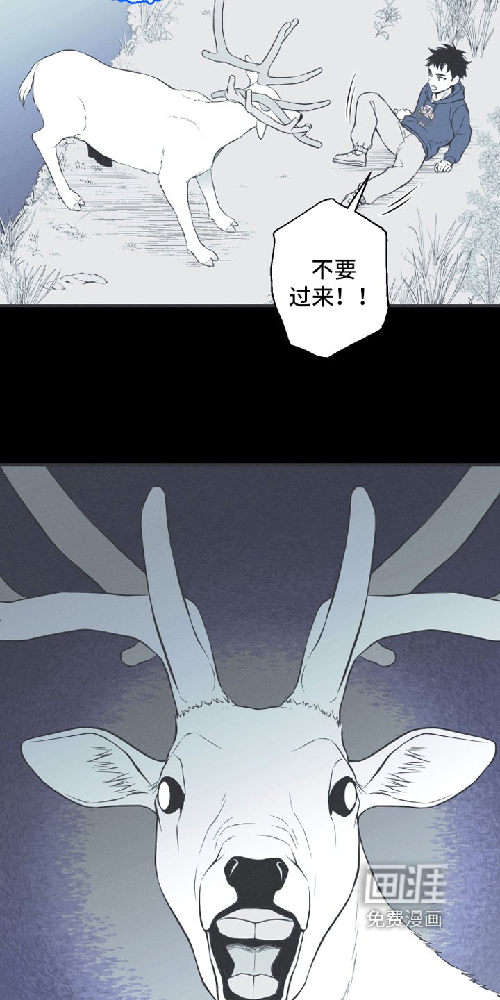 第18章：鹿妖