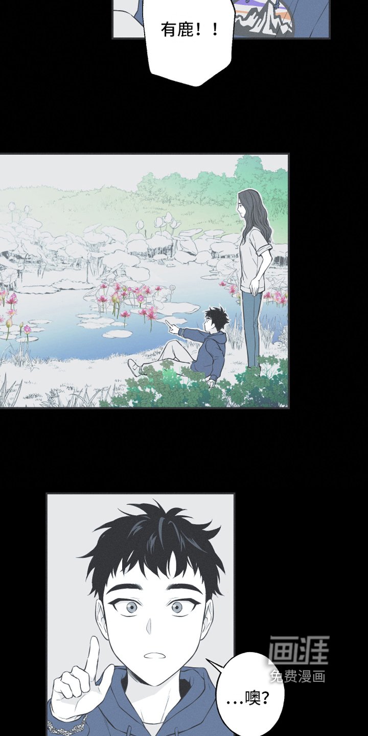第18章：鹿妖