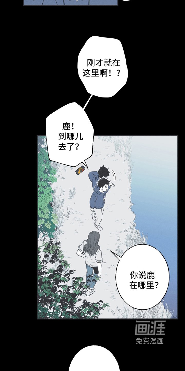 第18章：鹿妖