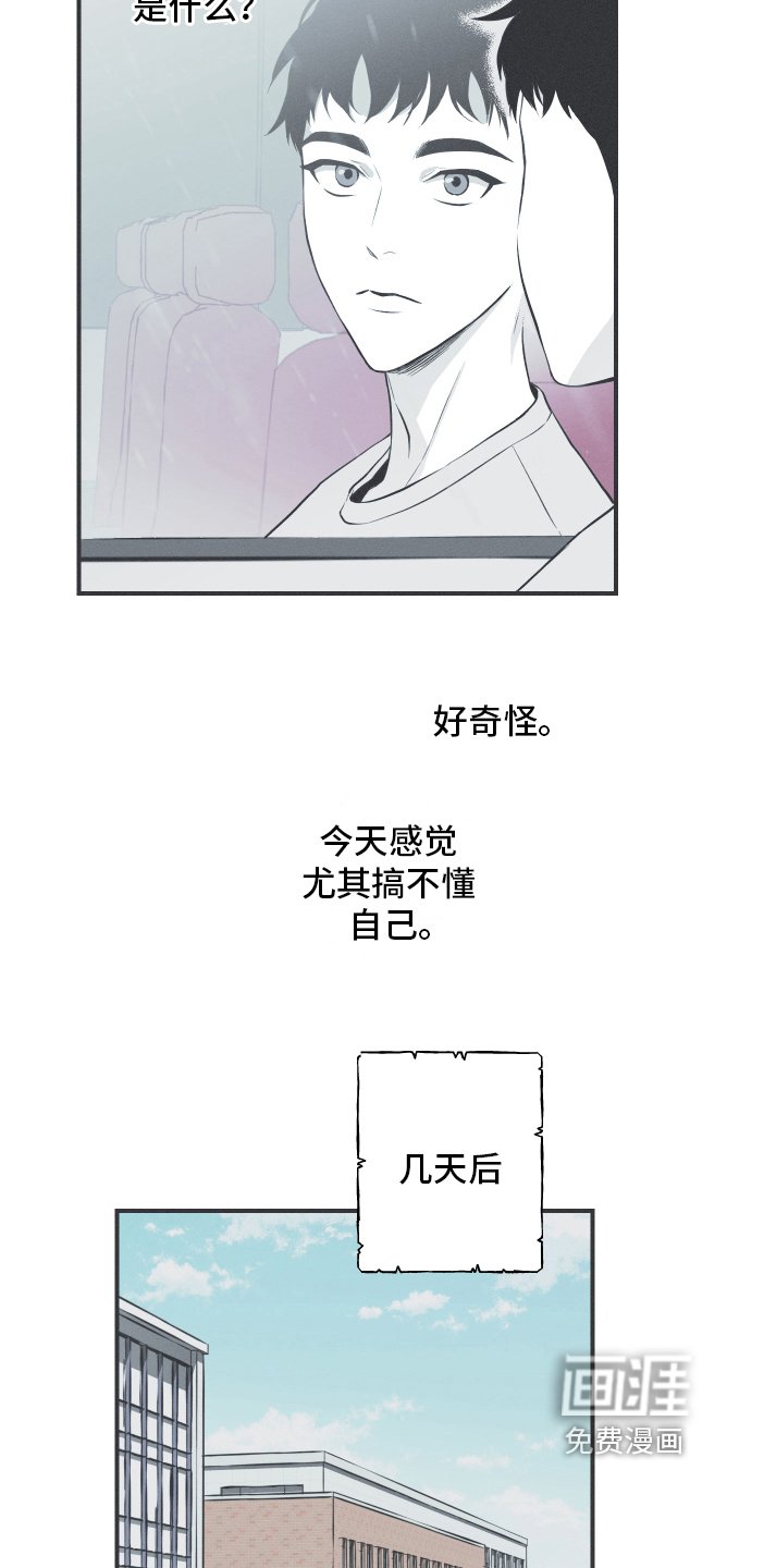 第19章：担忧