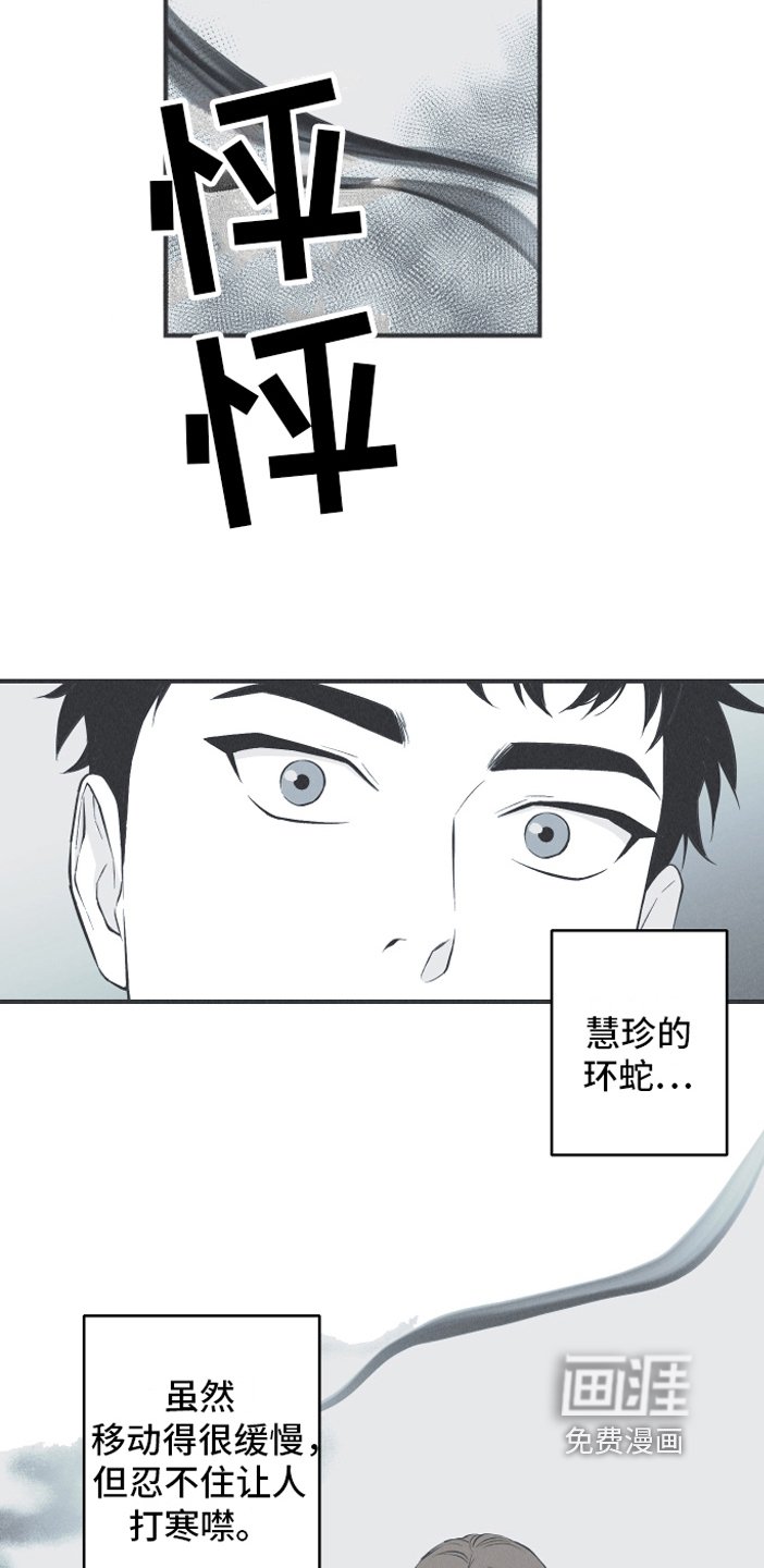 第19章：担忧