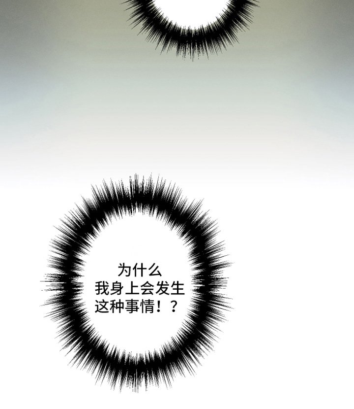 第2章：拜访