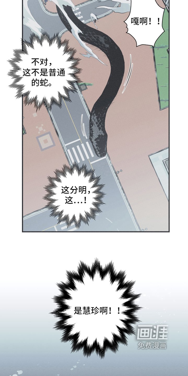 第21章：大蛇