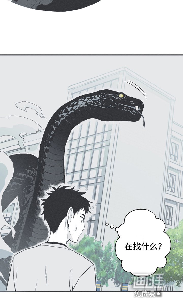 第21章：大蛇