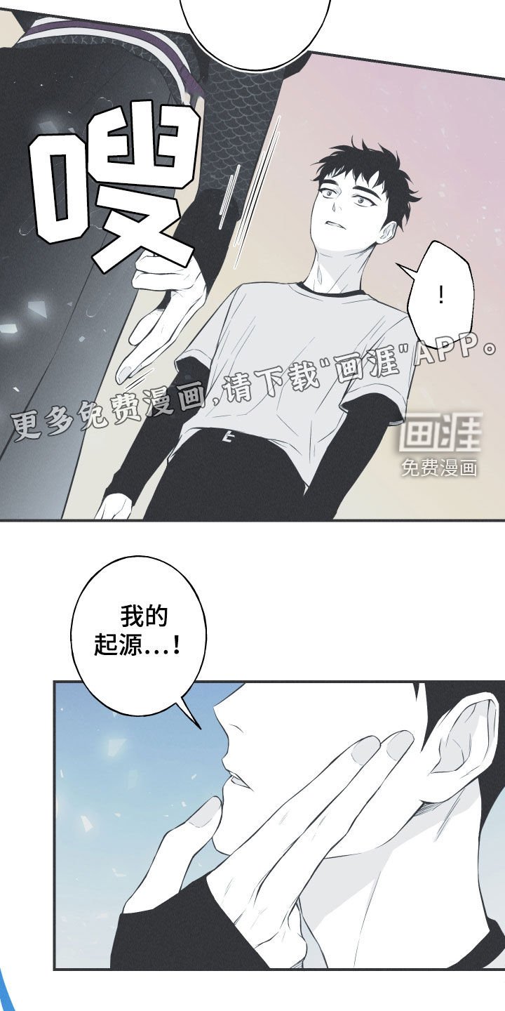 第26章：莲花盛开