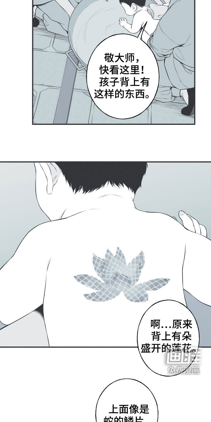 第26章：莲花盛开