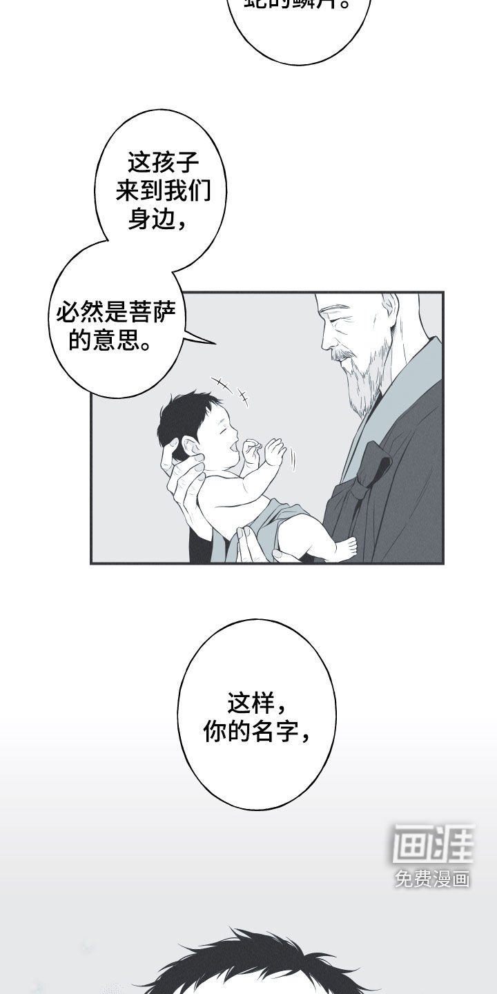 第26章：莲花盛开
