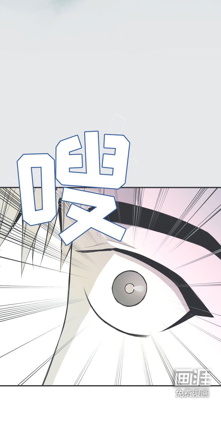 第26章：莲花盛开