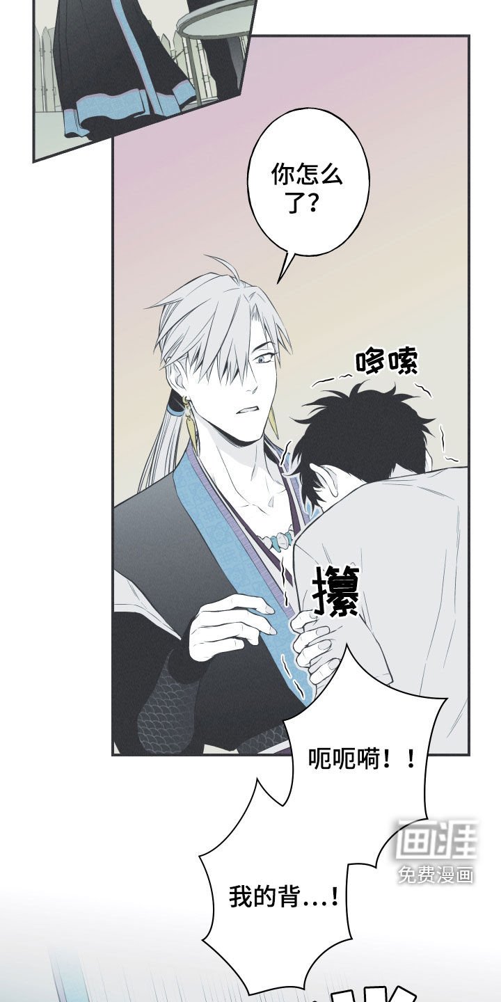 第26章：莲花盛开