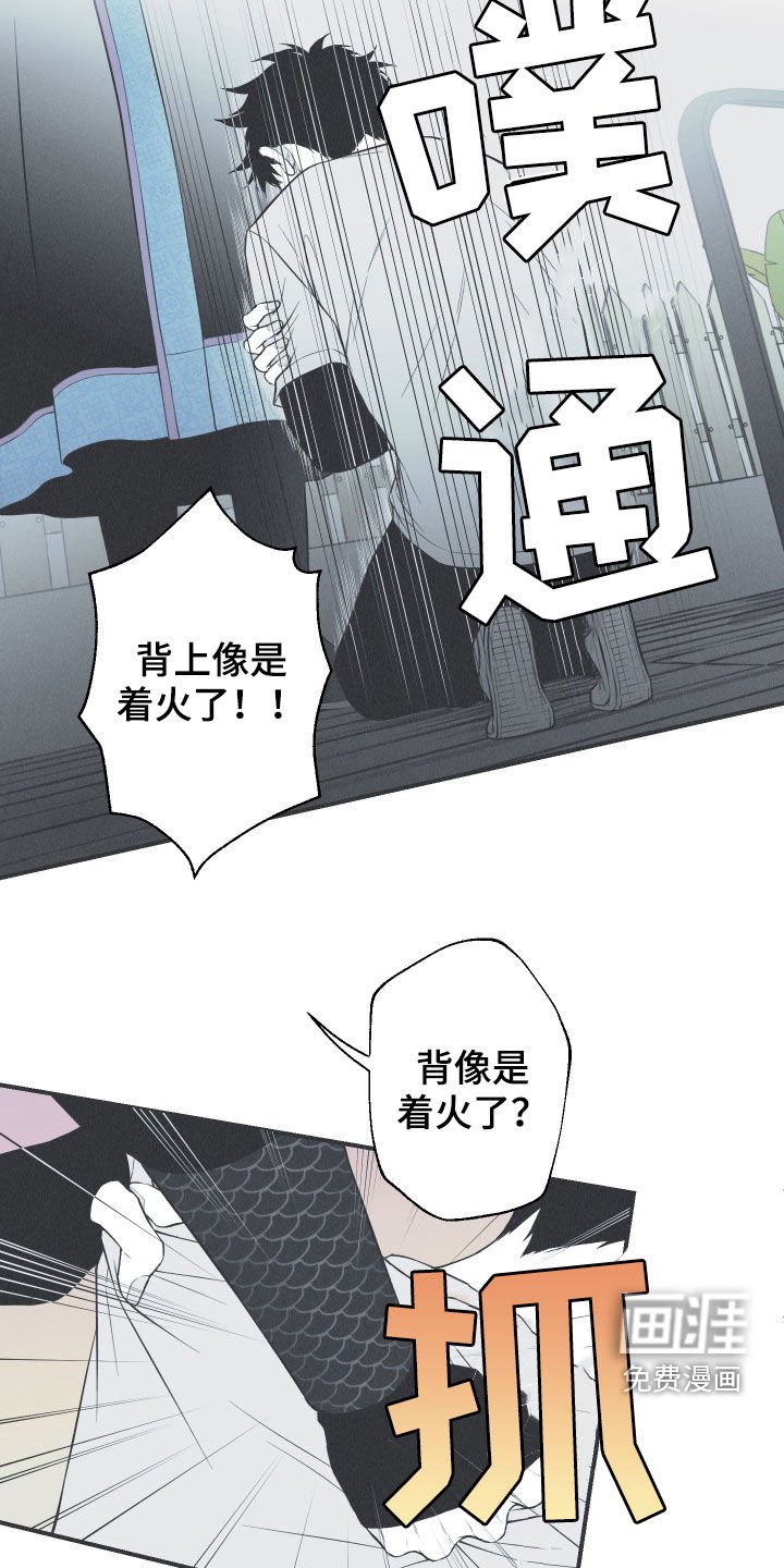 第26章：莲花盛开