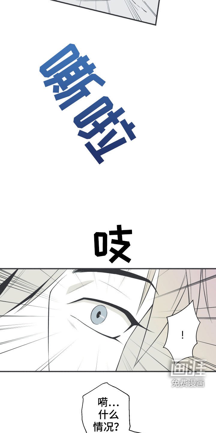 第26章：莲花盛开