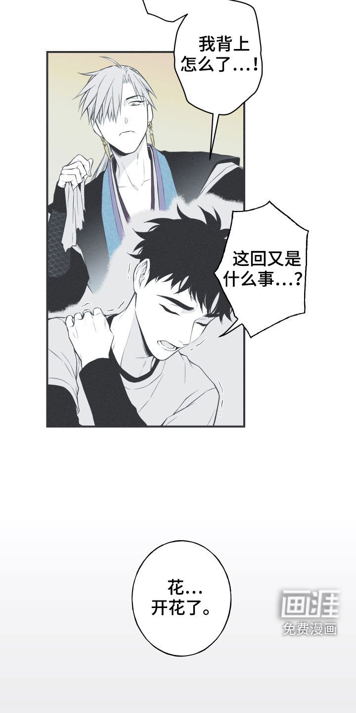 第26章：莲花盛开